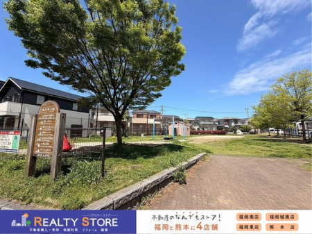 ���̑��@���n�i2026�N4���j�B�e