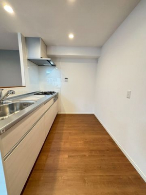 �L�b�`���@�Ζʎ��Ȃ̂ŉƑ��Ɖ�b���Ȃ���Ǝ����ł��܂���