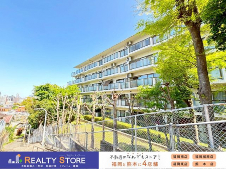 ���n�O�ώʐ^�@�����n�y2026�N4���z�B�e��