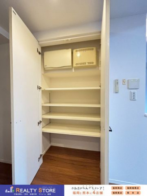 ���[�@���p�i��H�i�X�g�b�N�Ȃǂ̕ۊǏꏊ�ɕ֗��ȃp���g���[��