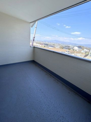 �o���R�j�[�@���o���R�j�[�����S�̃C���i�[�o���R�j�[�􉮍��t���ŋ}�ȉJ�ł����S�􂨐��󕨂������������֗��ȋ�ԁ�