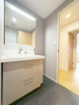 ʑEʏ@Ɏ[傫ڃTCY3ʋ^Cvʉϑł