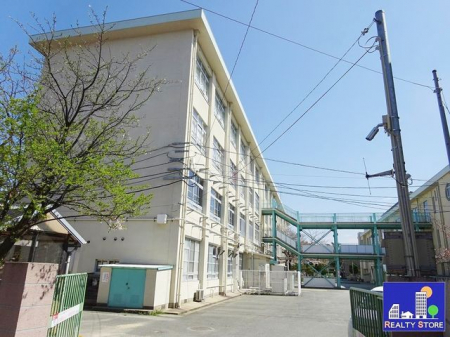 ���ӊ��@�����s���{�|���w�Z �k��4���B 290m