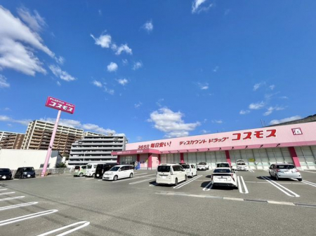 ���ӊ��@�h���b�O�X�g�A�R�X���X �߉ϐ�X �k��62���B 4500m