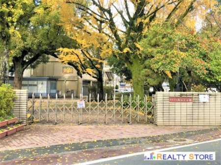 ӊ@F{sRwZ k7B 500m