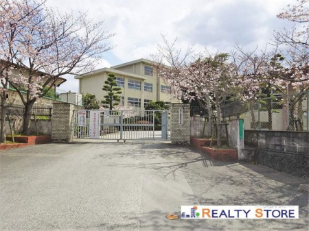 ӊ@sViwZ k10B 650m