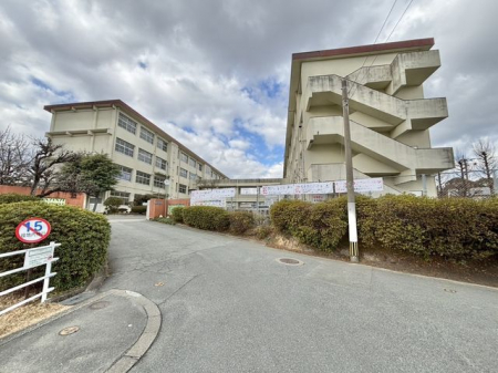 ӊ@s~ђwZ k11B 750m