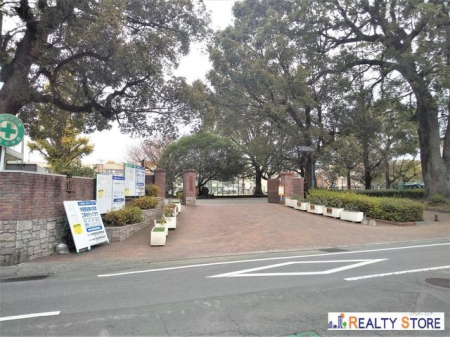 ӊ@F{s/˒wZ/uZ k35B 2800m