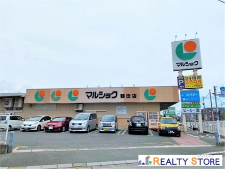 ���ӊ��@�}���V���N�ߓc�X �k��11���B 770m