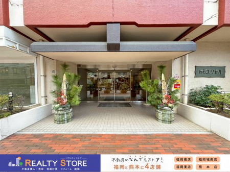 ���n�O�ώʐ^�@���}���V�����������