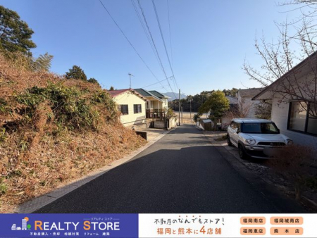 ���n�y�n�ʐ^�@-