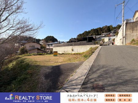 ���n�y�n�ʐ^�@-