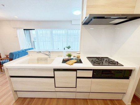 �L�b�`���@���V�X�e���L�b�`�����O���R�����̃V�X�e���L�b�`�����Ζʎ��Ȃ̂ŉƑ��Ɖ�b���Ȃ���Ǝ����ł��܂���