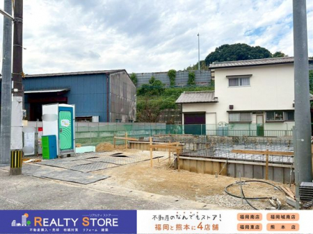 ���̑��@�����n�y2025�N11���z�B�e��