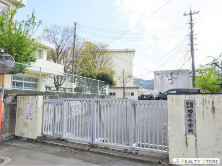 ���ӊ��@�����s���������w�Z �k��9���B 650m