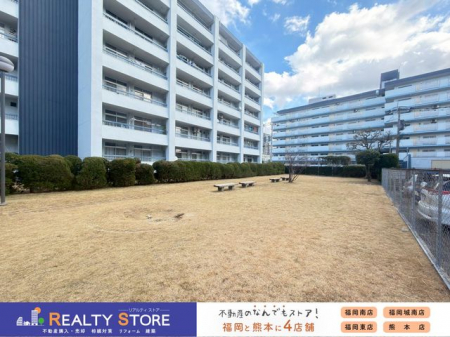 ���̑��@�����n�i2026�N1���j�B�e�����������Ȃǂ��C�y�ɂ��⍇����������