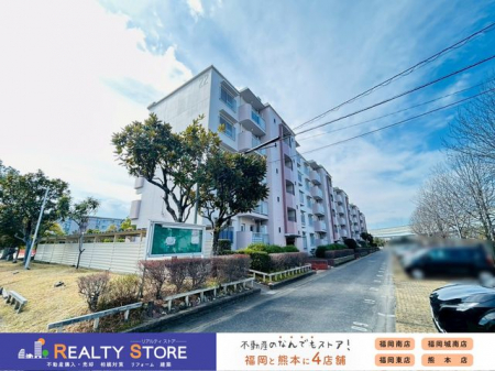 ���ӊ��@�����n�y2026�N2���z�B�e��