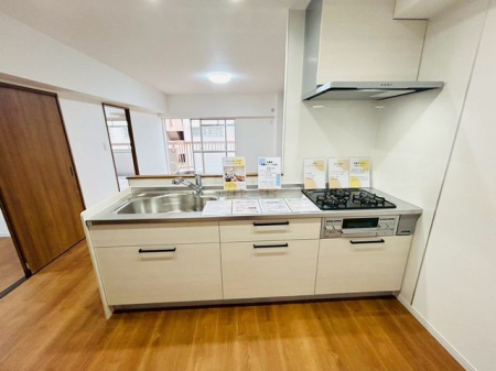 �L�b�`���@���V�X�e���L�b�`�����Ζʎ��Ȃ̂ŉƑ��Ɖ�b���Ȃ���Ǝ����ł��܂���