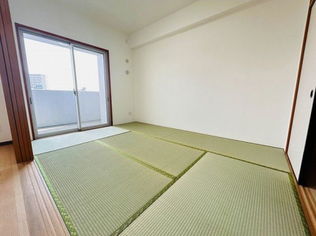 ���̑����ρ@���a����