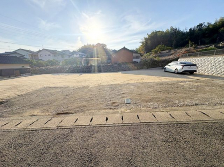 ���n�y�n�ʐ^�@-