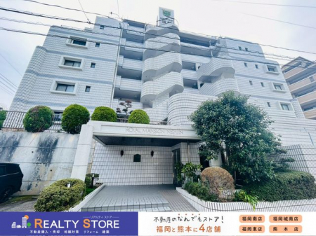 ���n�O�ώʐ^�@���n�y2026�N4���z�B�e