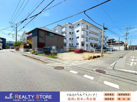 ���n�y�n�ʐ^�@�����n�y2026�N4���z�B�e��